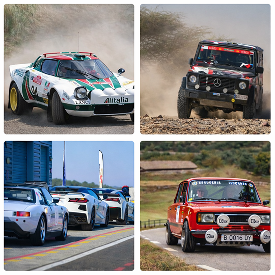 Découvrez toutes les disciplines pour profiter (vraiment) des voitures classiques.