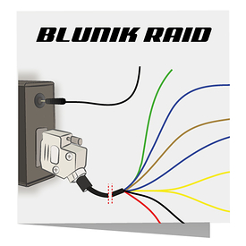 Blunik Raid connections